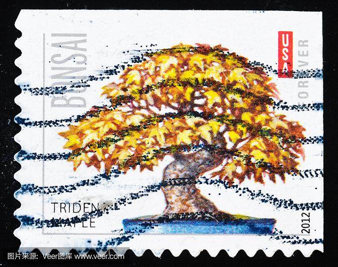 中国邮电部发行一套盆景艺术特种邮票 全套6枚