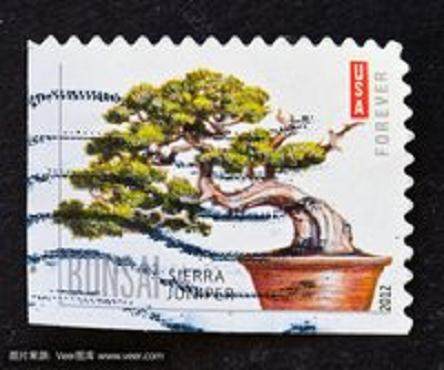 中国邮电部发行一套盆景艺术特种邮票 全套6枚