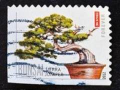 中国邮电部发行一套盆景艺术特种邮票 全套6枚