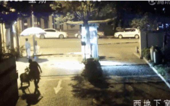 三明男子收入丰厚住高档小区 却连偷路边盆景