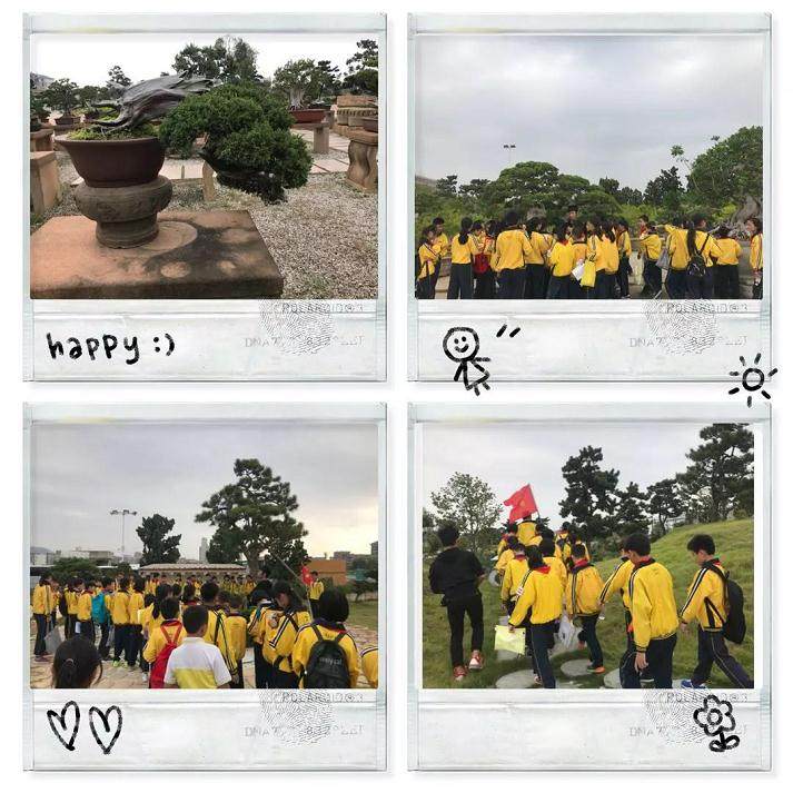 鸿江盆景基地和金井&ldquo;八二三战地公园&rdquo;研学活动