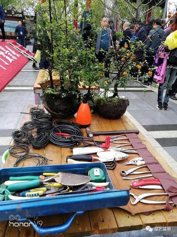 盆景创作,谁更专业?谁又在忽悠谁?