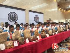 张家界武陵盆景·赏石博览会吸引众多游客