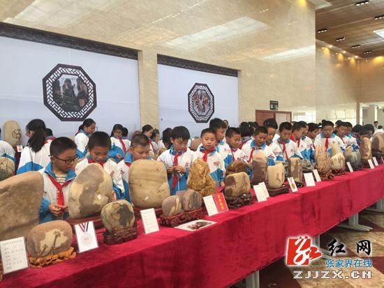 张家界：武陵盆景&middot;赏石博览会吸引众多游客