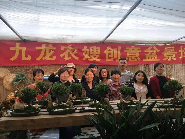 宁波花木世界的第二场盆景创意设计在本周拉开帷幕