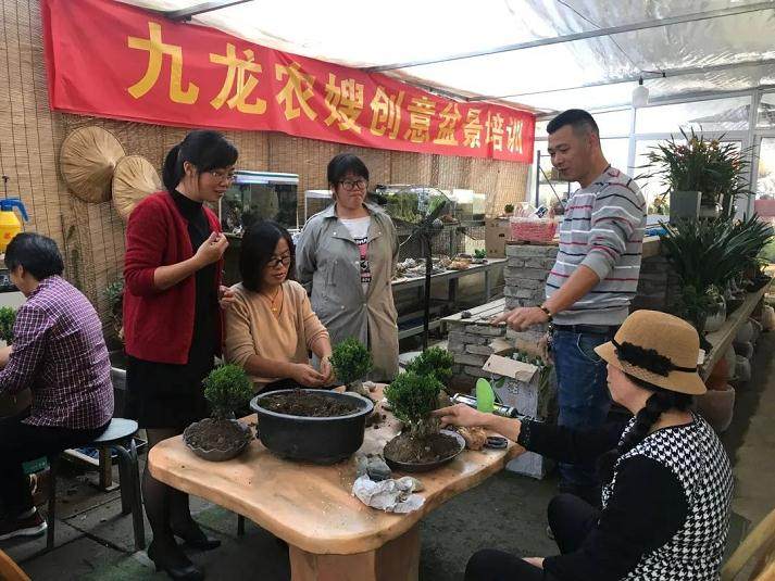 宁波花木世界的第二场盆景创意设计在本周拉开帷幕