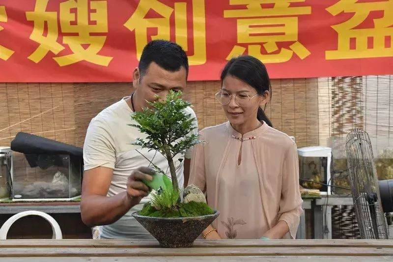 九龙农嫂创意盆景设计闪亮登场