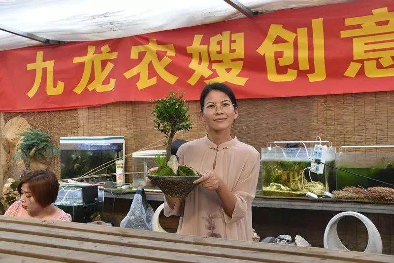 九龙农嫂创意盆景设计闪亮登场