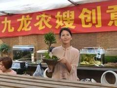 九龙农嫂创意盆景设计闪亮登场
