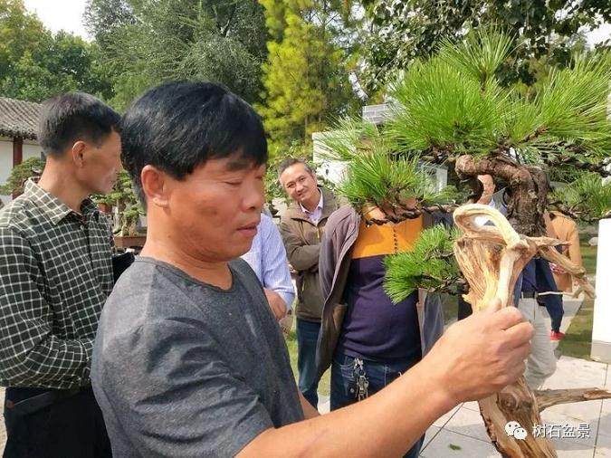 BCI国际盆景大师 吴德军