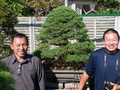 参观北村先生的盆景收藏品