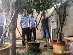 盗窃盆景被捉 真相背后竟是奇葩动机