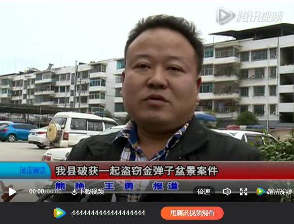  余庆县破获一起盗窃金弹子盆景案件