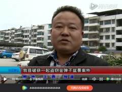 余庆县破获一起盗窃金弹子盆景案件