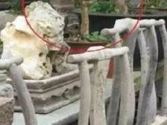 盗窃4钵盆景4棵树被判罚金1000元