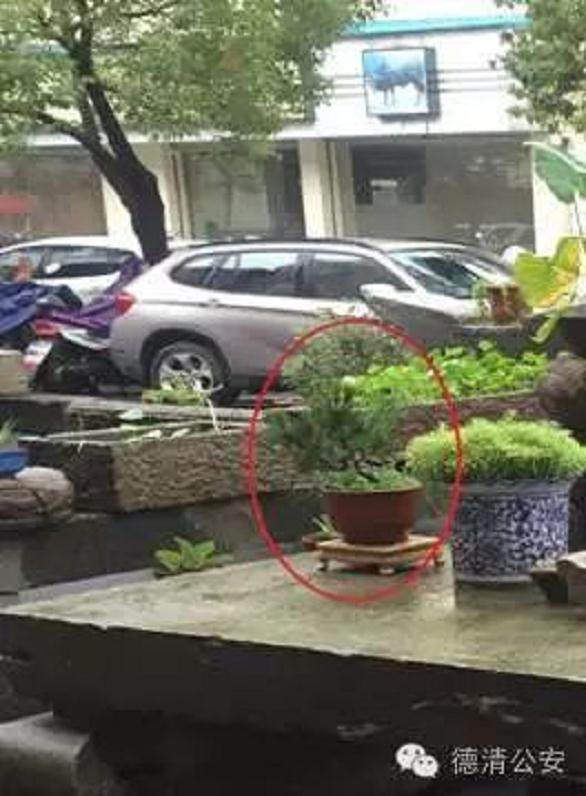 深夜盗走名贵盆景 德清警方两月终将其擒获