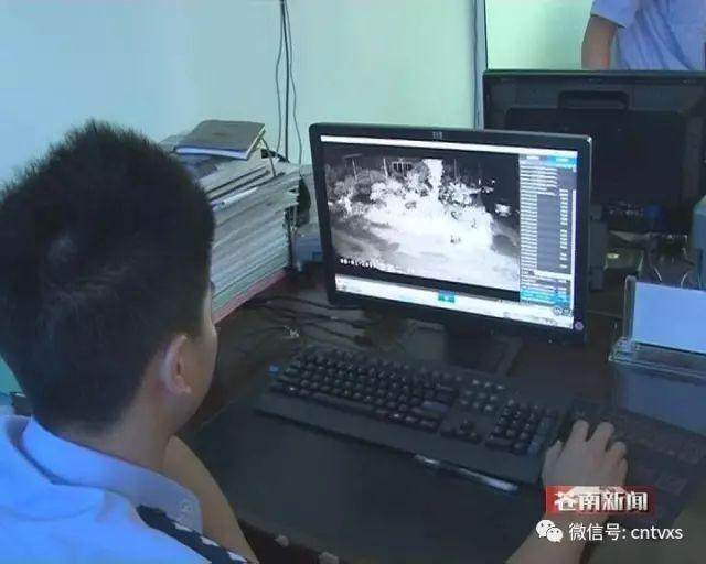 文成张某在龙港镇繁荣路盗窃两盆五针松盆景