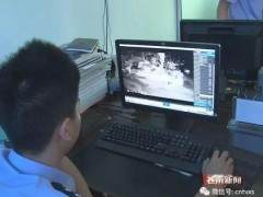 文成张某在龙港镇繁荣路盗窃两盆五针松盆景