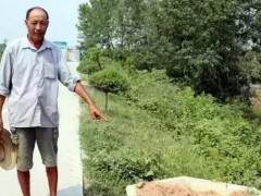 孝昌县某公司2棵价值1万余元的盆景先后被盗