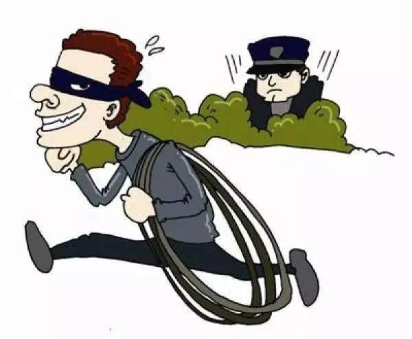 华宁县公安局成功侦破一起盗窃盆景树案