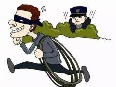 华宁县公安局成功侦破一起盗窃盆景树案