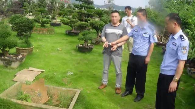 娄底:为赚取毒资盗窃盆景 生日当天哐铛被抓