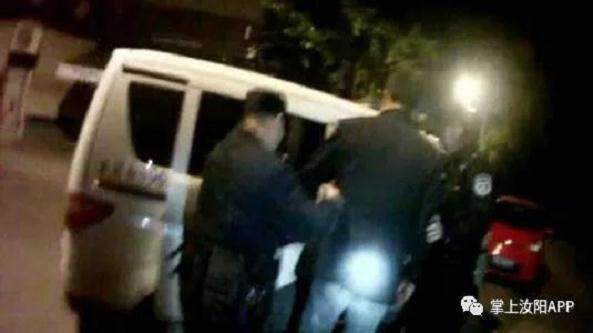 汝阳三青年酒后盗窃两棵发财树盆景被拘留