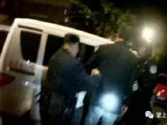 汝阳三青年酒后盗窃两棵发财树盆景被拘留