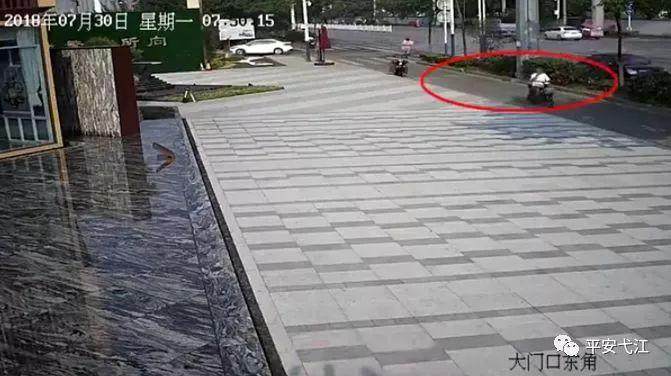 吃惊!白发老人偷盆景,被抓后竟称只是“顺带”?