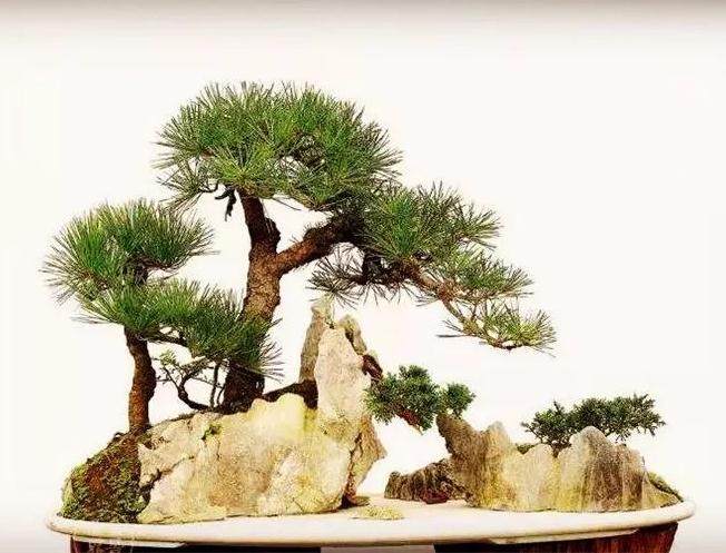 松石盆景造型构图基本形式