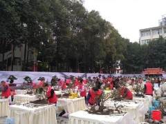 四川省首届川派盆景·插花技能大赛启动仪式