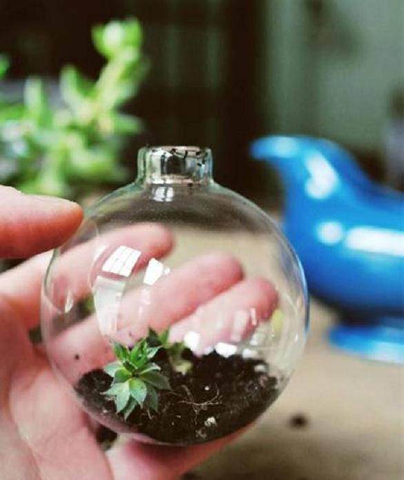 第七届园林展艺术插花组合盆景作品征集通知