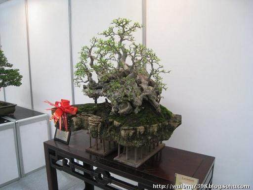 大渡口第十八届盆景艺术展将举行