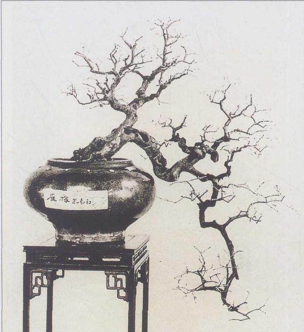 岭南盆景的发展经历了那几个阶段？