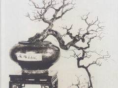 岭南盆景的发展经历了那几个阶段？