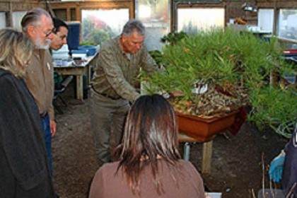 图解 巴伐利亚盆景大师的盆景教学纪录照