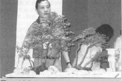 图解 如何制作水旱盆景上的苔藓