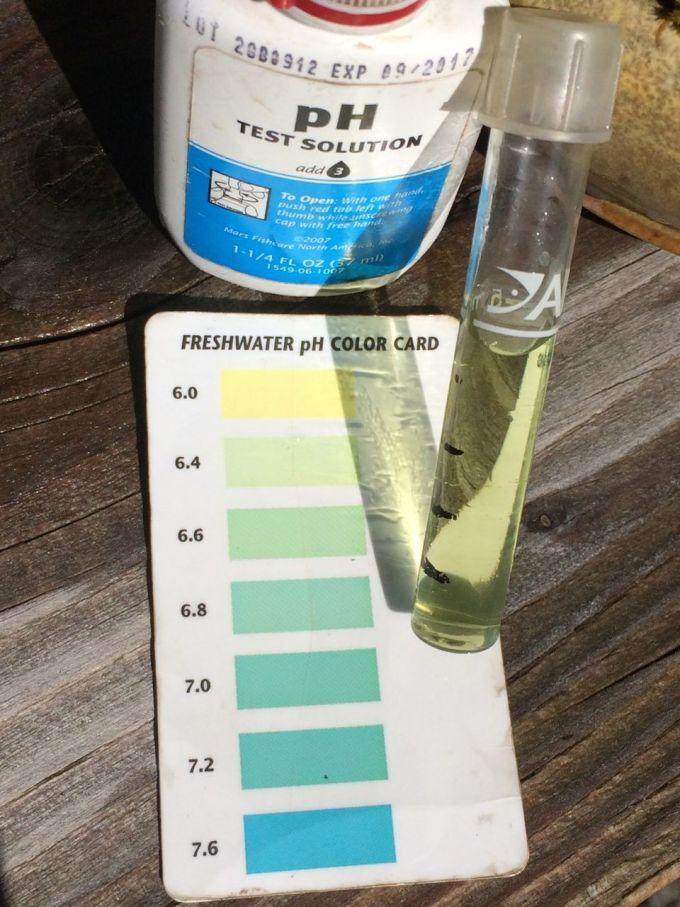 盆景健康的一个必要条件 水的pH值