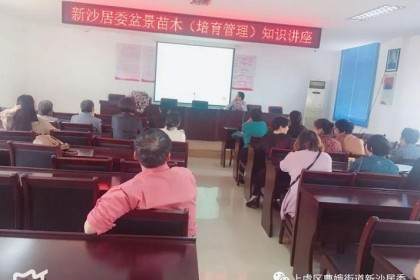 全居广大兴趣爱好者共50余人参加了盆景培训