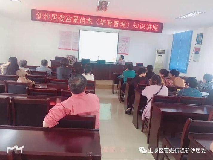 全居广大兴趣爱好者共50余人参加了盆景培训