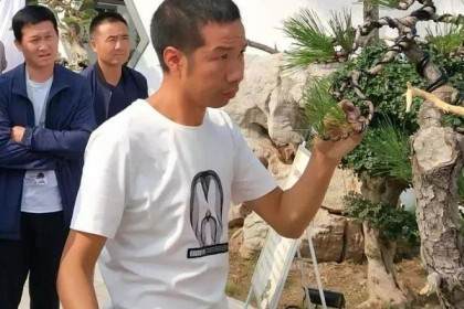 慈溪青年盆景作家 - 刘赟