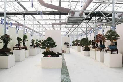 2019北京国际盆景竞赛-江苏选拔赛结果公示