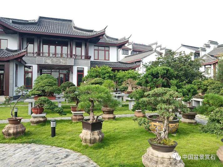 2018年 安徽省第四届盆景精品展