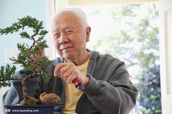 72岁老人种300多盆盆景 屋顶成了盆景园