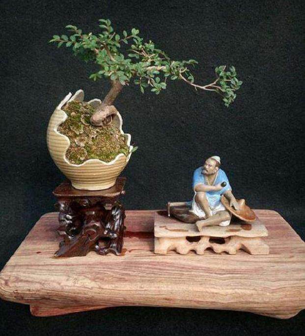 自己创作酒瓶盆景经验的总结