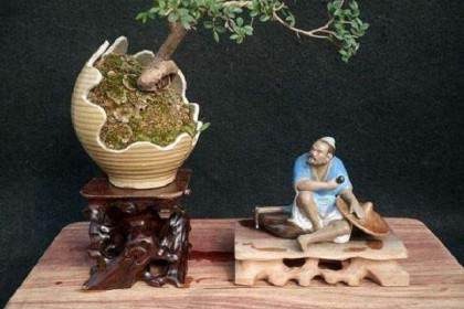 自己创作酒瓶盆景经验的总结