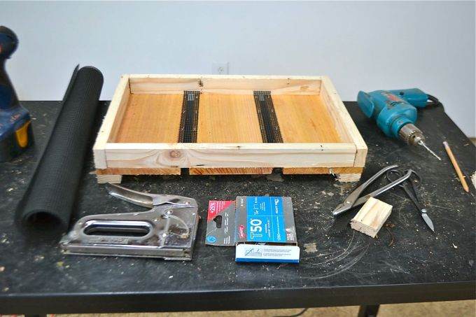 图解老外对三叉戟枫树盆景的根部修剪