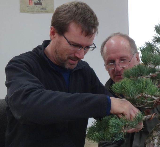 图解 老外怎么盘扎虾夷盆景的13个过程