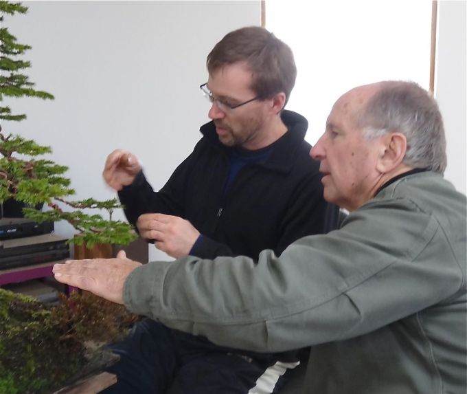 图解 老外怎么盘扎虾夷盆景的13个过程