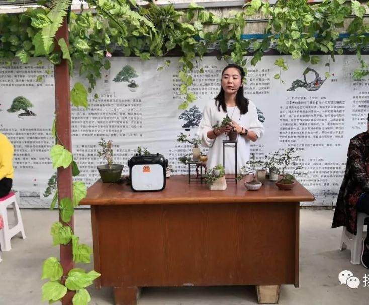 培训课堂&mdash;&mdash;走进盆景世界，感受盆景魅力！